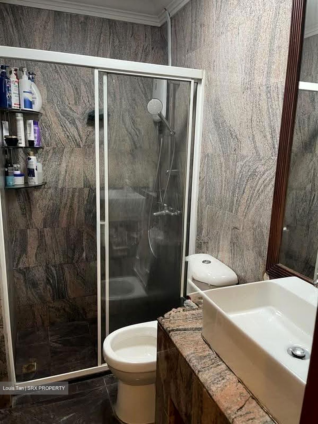 Le Hill Condominium (D5), Condominium #625583271